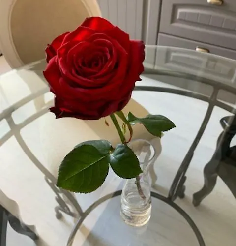 Cosy Aix Aix-les-Bains